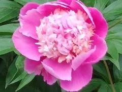 -长春公园(普阳街道)