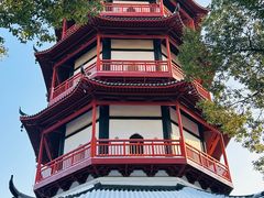-绳金塔