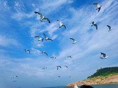 -海驴岛(荣成市)