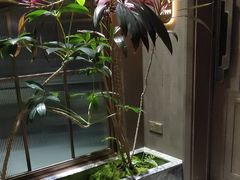 -双湖宴·湖北菜(文化路店)