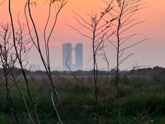 -南汇嘴观海公园