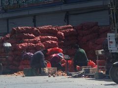 -大连果菜批发市场