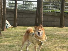 -上海月湖雕塑公园