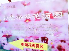 -金卉庄园