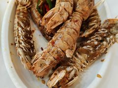 椒盐攋尿虾-阳江餐厅·26年老字号·粤菜海鲜大排档