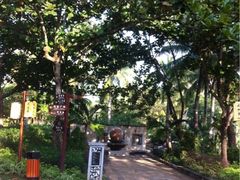 珠江南田温泉度假区小鱼温泉中心-三亚珠江南田温泉度假区