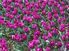 -保利石象湖景区