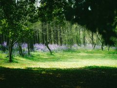 -南京市无想山景区