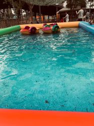 -萌宠亲子动物乐园(槐房万达店)