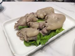 -丁老爷子苏香圆