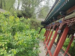 -晋祠公园