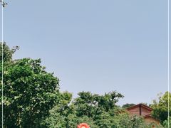 -东山风景区(洞庭东山)