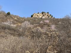 -仙居谷风景区