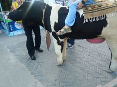 -东关街美食广场
