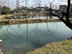 -南北湖风景区