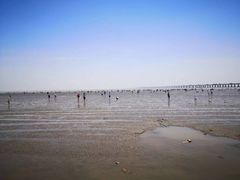 -南汇新城海滩