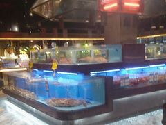 -阿伟海鲜楼·福建菜(延寿店)