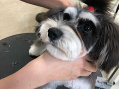 -多卡布奇宠物生活馆(上林世家店)