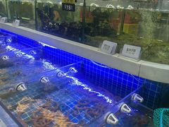 -大众海鲜(巨龙北路店)