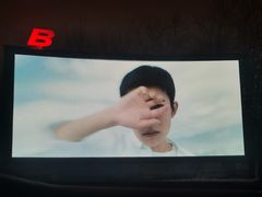 -枫花园汽车电影院(朝阳公园店)