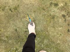 -呀诺达热带雨林