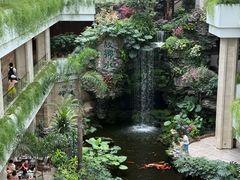 -白天鹅宾馆-宏图府餐厅