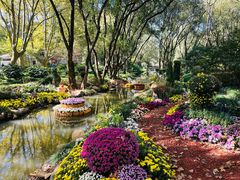 -上海共青森林公园