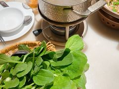 鸡汤煮有机杭白菜-佬肥猫(国华广场店)