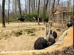 -杭州野生动物世界