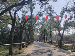 -东湖落雁景区