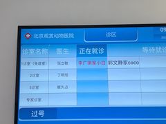 -北京观赏动物医院·24小时大型综合·猫专科·异宠专科