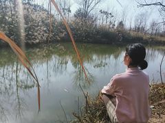 -白鹭湾湿地公园