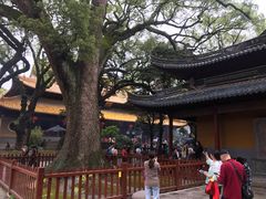 -普陀山慧济禅寺