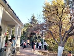 -西安市纺织公园
