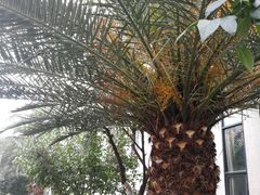 -西南民族大学南区(双流校区)