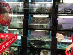 -全乐鱼馆·淳牌有机鱼直营店