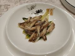-新光酒家·河豚·海鲜·蟹料理(浦东店)
