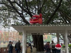 -荔湾湖公园