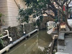 -小洲村