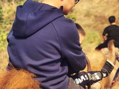 -古柏渡飞黄旅游区