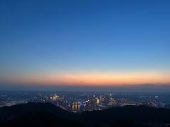-大金鹰园