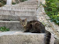 -北京凤凰岭
