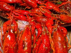 -馋嘴猫北京食堂·烤鸭·宵夜(亚运村店)