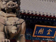 -西安大兴善寺