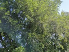 -长春净月潭风景名胜区