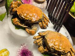 陈年花雕熟醉六月黄-青岛遇见米兰(八大关店)