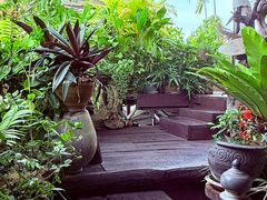 -自然餐厅(Phuket)