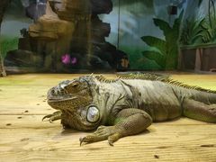 -石家庄市动物园