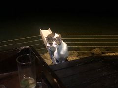 -Sunset Bar(丹绒亚路香格里拉店)