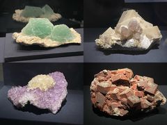 -山东博物馆